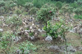 Những “công nhân