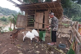 Tạo sinh kế bền vững&nbsp;cho hộ nghèo ở Nam Xuân