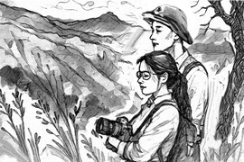 Trên đồi cỏ bạc