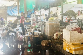 Mất an toàn từ các điểm giết mổ gia cầm nhỏ lẻ