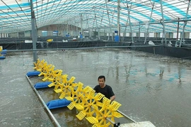 Chủ động nguồn cung thủy sản&nbsp;cho thị trường dịp tết