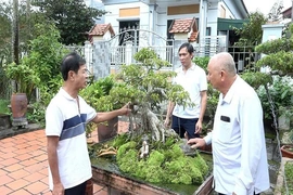 Phường Đông Sơn đưa nghị quyết vào cuộc sống