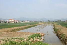 Đấu giá quyền sử dụng đất sau sáp nhập xã, phường