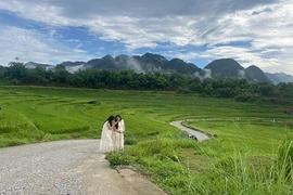 Phát triển bền vững vùng đồng bào dân tộc thiểu số và miền núi