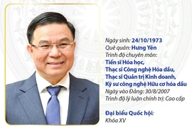 Quyền Bộ trưởng Bộ Công Thương Lê Mạnh Hùng