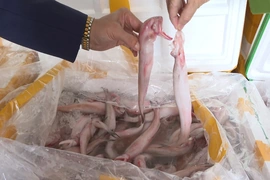 Phát hiện, thu giữ hơn 10 tấn cá khoai sử dụng chất cấm (Formol) để bảo quản