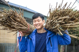 Từ lũy tre làng đến thị trường thế giới