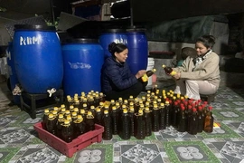 Đưa sản phẩm OCOP vươn xa