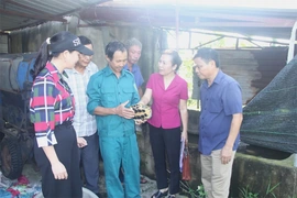 Biến đồng trũng lầy thành&nbsp;mô hình nông nghiệp tuần hoàn