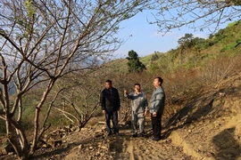 Đồng bào Mông một lòng theo Đảng - Khát vọng đổi đời từ núi cao (Bài 1): Mở “nút thắt” trong nếp nghĩ, cách làm&nbsp;