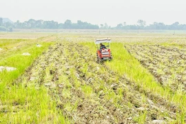 Chuẩn bị các điều kiện sản xuất vụ xuân