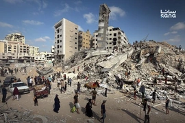 Ngoại trưởng các nước Arab và Hồi giáo ra tuyên bố chung về tình hình Gaza