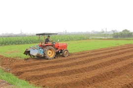 “Chìa khóa” nâng cao chất lượng&nbsp;dịch vụ và thúc đẩy kinh tế hợp tác