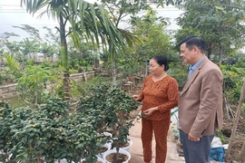 Đồng hành cùng nông dân làm giàu