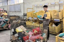 Bưu điện “chạy đua” chuyển phát mùa cao điểm