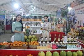 Củng cố tiêu chí nông thôn mới&nbsp;qua 6 chương trình chuyên đề