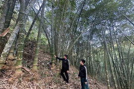 Xã Quan Sơn đưa nghị quyết vào cuộc sống