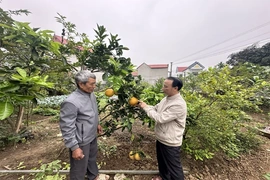 Ông Nguyễn Duy Hà gương mẫu,&nbsp;tâm huyết với công việc tập thể