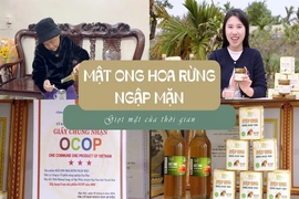 [REVIEW OCOP] Mật ong hoa rừng ngập mặn - giọt mật của thời gian