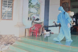 Một số địa phương ghi nhận ca mắc sốt xuất huyết và tay chân miệng chuyển nặng