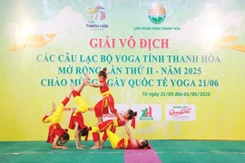 Để các liên đoàn, hiệp hội thể thao&nbsp;“có đất dụng võ”