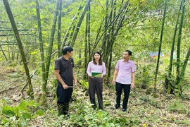 Linh hoạt thích ứng, duy trì hoạt động tín dụng&nbsp;ổn định, thông suốt, hiệu quả