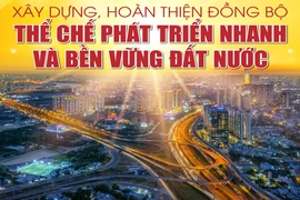 Xây dựng, hoàn thiện đồng bộ thể chế phát triển nhanh và bền vững đất nước