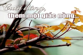 [E-Magazine]: Cuối đông, thêm một giấc nồng...