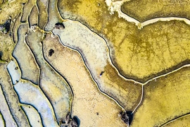 Ruộng bậc thang Pù Luông lung linh mùa nước đổ