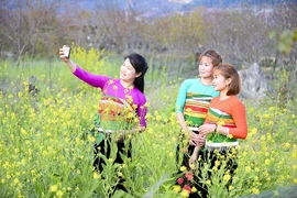 Sắc xuân sớm ở Son - Bá - Mười