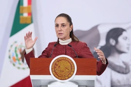 Mexico bác bỏ khả năng Mỹ can thiệp quân sự trên lãnh thổ nước này