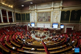 Chính phủ Pháp vượt qua 2 cuộc bỏ phiếu bất tín nhiệm