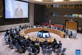 Liên Hợp Quốc cảnh báo nguy cơ Yemen tiếp tục rơi vào bất ổn