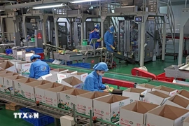 Đại hội XIV của Đảng: “Mở đường” cho kinh tế tư nhân bứt phá