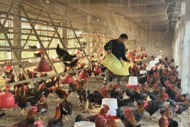 Đáp ứng nhu cầu về vốn, thúc đẩy phát triển&nbsp;sản xuất, kinh doanh cho người dân