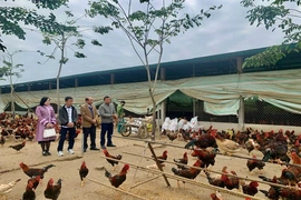 “Bệ đỡ” giúp nông dân vươn lên làm giàu