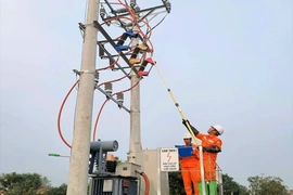 Đội Quản lý điện lực khu vực Như Thanh - Như Xuân sẵn sàng cao điểm tiêu thụ điện dịp tết