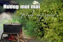 [E-Magazine]: Hương mùi mãi “trinh nguyên”...