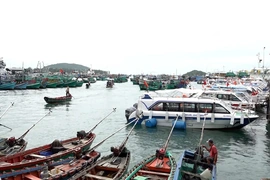 Chủ động ứng phó rét đậm, rét hại và gió mạnh trên biển