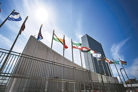 UNDP chuyển gần 400 vị trí công tác từ New York sang châu Âu