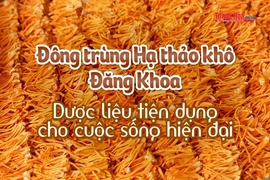 [REVIEW OCOP] Đông trùng hạ thảo khô Đăng Khoa - Dược liệu tiện dụng cho cuộc sống hiện đại