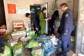 Thu giữ hơn 1,1 tấn thực phẩm không rõ nguồn gốc xuất xứ trước Tết