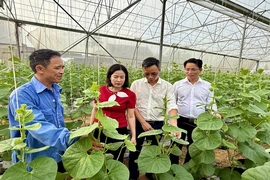 Đảng bộ xã Thiệu Tiến đổi mới, nâng cao&nbsp;chất lượng sinh hoạt chi bộ