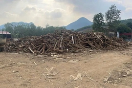 Tăng cường quản lý cơ sở thu mua, chế biến lâm sản tự phát