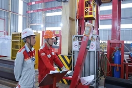 Làm mới các động lực tăng trưởng truyền thống