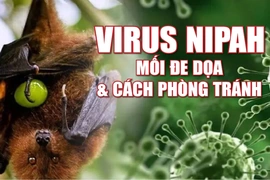 [Infographics] - Virus Nipah - Mối đe dọa và cách phòng tránh
