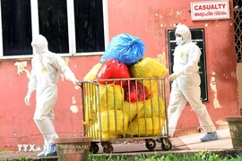 Virus Nipah có nguy cơ trở thành đại dịch như COVID-19 không?