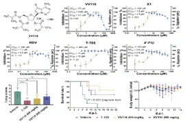 Thuốc kháng virus dạng uống của Trung Quốc mở ra hướng nghiên cứu điều trị virus Nipah
