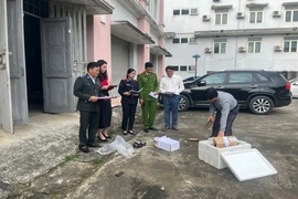 Tiêu hủy vật chứng theo 6 bản án hình sự đã có hiệu lực pháp luật