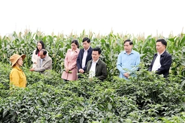 Định Tân quyết tâm đổi mới ngay từ những ngày đầu xuân